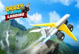Crazy Plane Landing